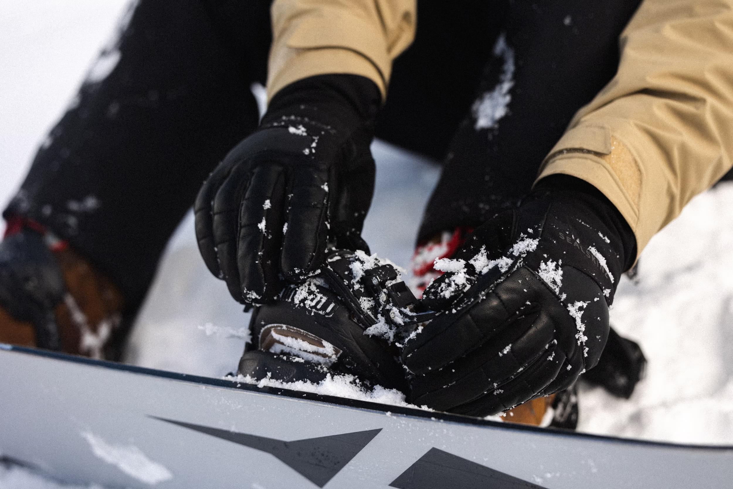 Snow Sports Gloves